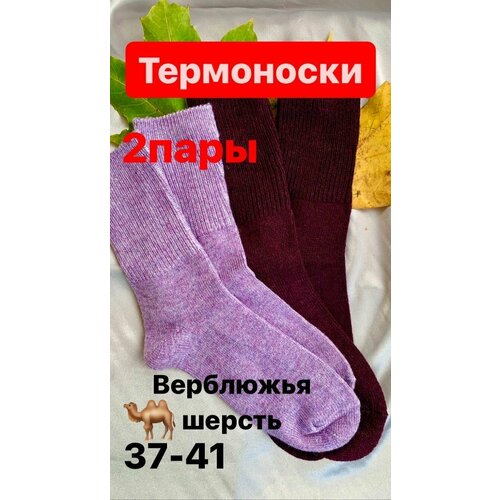 Носки , 2 пары, размер 36/41, фиолетовый, коричневый