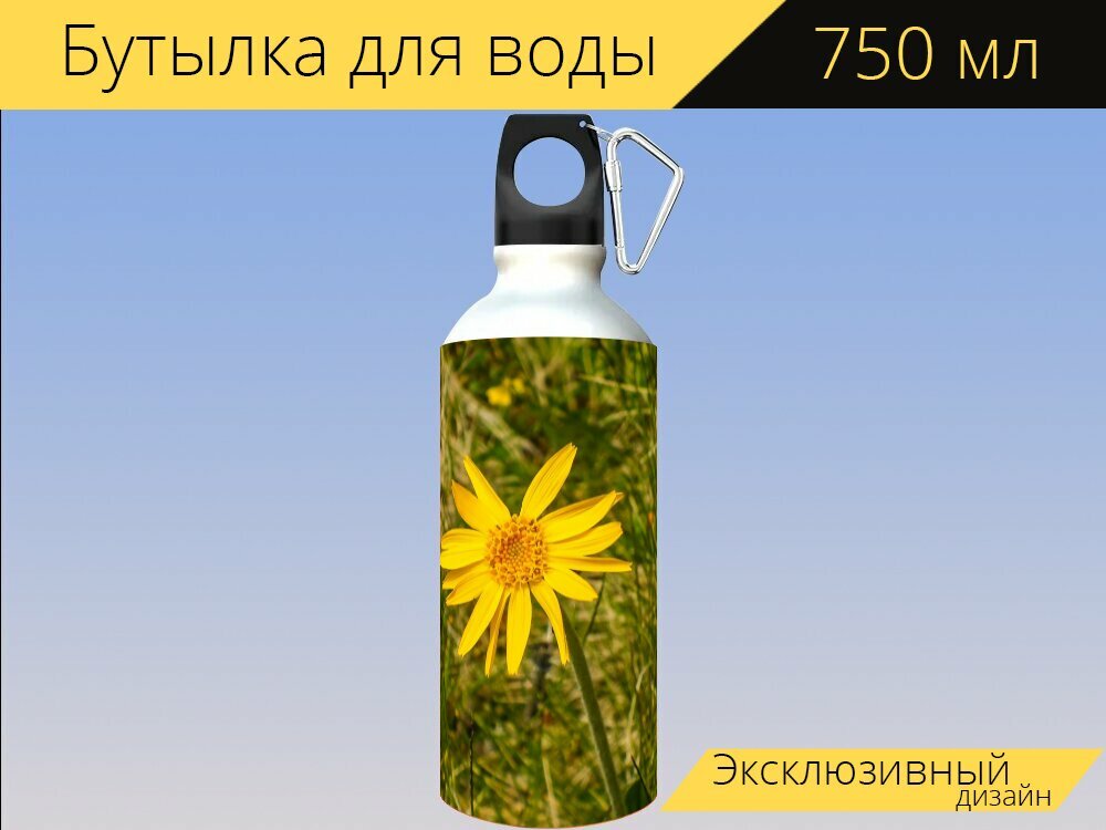 Бутылка фляга для воды "Арника арника монтана лекарственное растение" 750 мл. с карабином и принтом