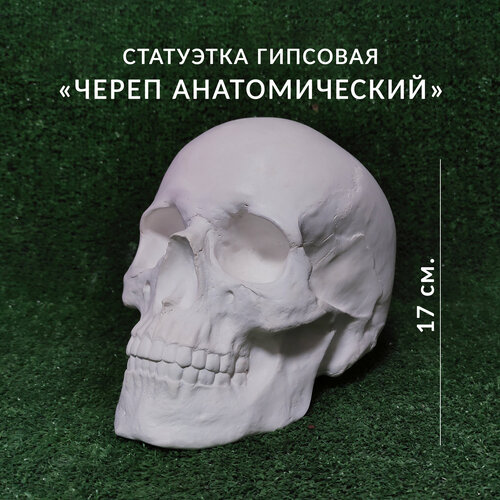 Гипсовая фигура 