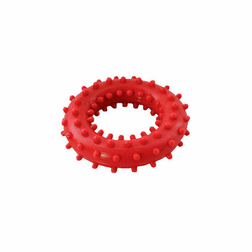 Игрушка Зооник кольцо с шипами, 66 мм зооник игрушка для собак кольцо с шипами 2 d 66 мм 6 шт
