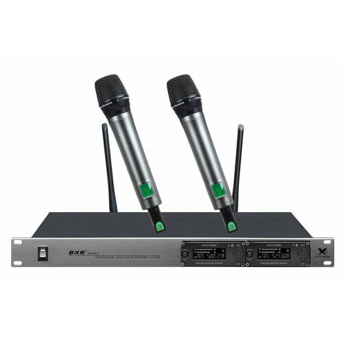 Радиомикрофоны clevermic BKR KX-D812 два ручных 4734000₽