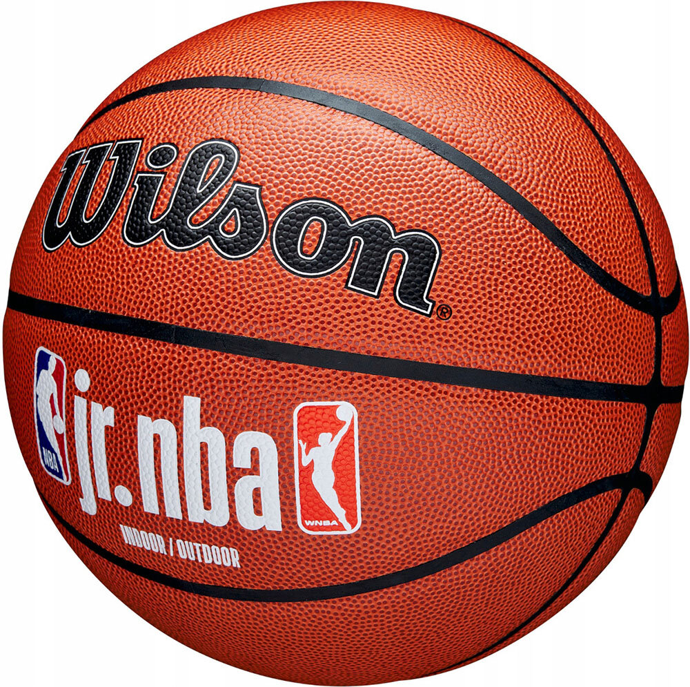 Мяч баскетбольный Wilson JR. NBA Fam Logo Indoor Outdoor WZ2009801XB6, размер 6