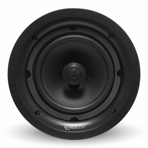 Потолочная акустика TruAudio PP-6 3800000₽