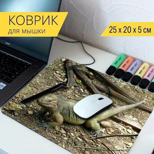 Коврик для мыши с принтом Игуана, животное, экзотика 25x20см.