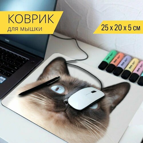 стол кошка сиамская кошка feline 65x65 см кухонный квадратный с принтом Коврик для мыши с принтом Кошка, сиамская кошка, лицо 25x20см.