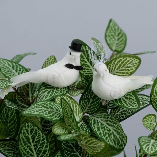Набор птичек на прищепке КНР для декора и флористики, пластик, белый, 2 шт (7635857)