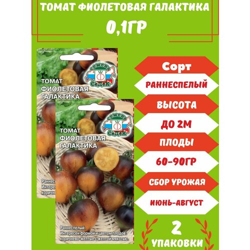 Томат Фиолетовая Галактика,2 упаковки