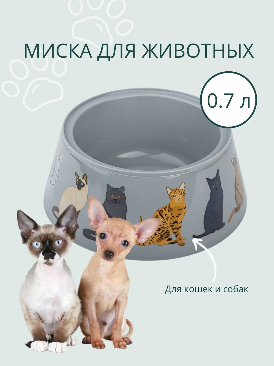 Миска для животных Cats 0.7л, серый