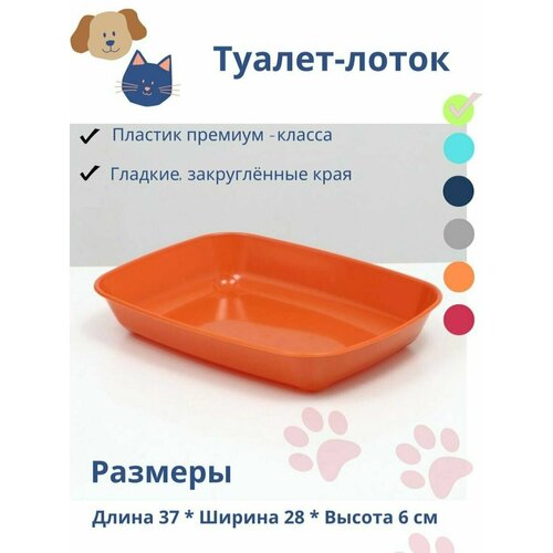 Кошачий лоток туалет для собак округлый без сетки маленький