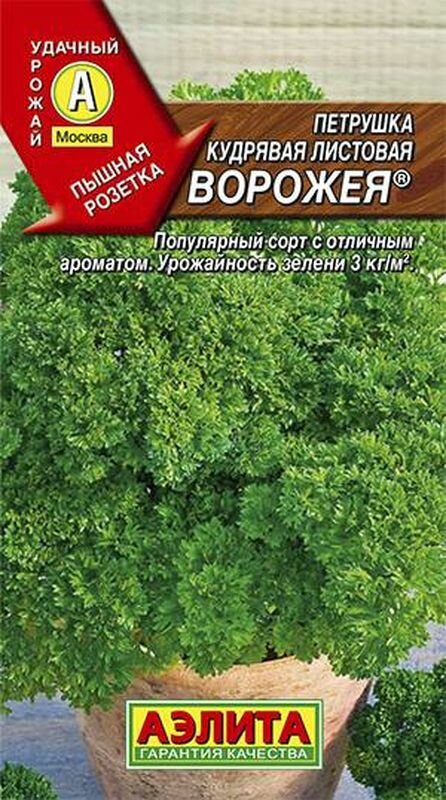 Семена Петрушка кудрявая Ворожея Ср. (Аэлита) 2г