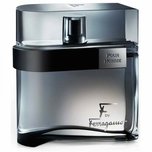 Туалетная вода Salvatore Ferragamo F By Black 50ml (муж)