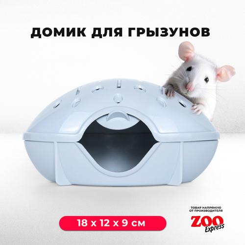 домик переноска zooexpress для грызунов хомяков крыс и мышей 18х12х9 см с дверцей зеленый Домик-переноска ZOOexpress для грызунов, хомяков, крыс и мышей, 18х12х9 см, с дверцей, светло-голубой