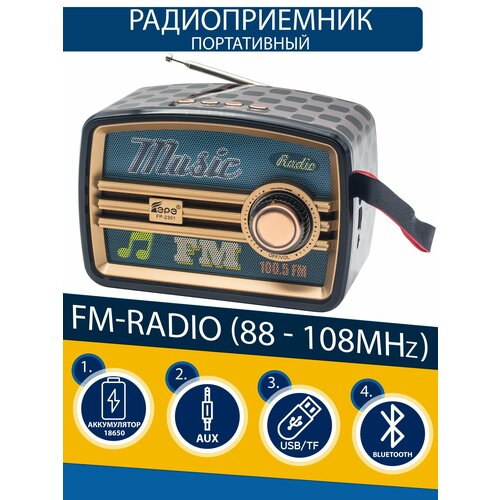 Радиоприемник EPE с Bluetooth FM с слотом для флешки TFAUX DARKBLUE 130000₽