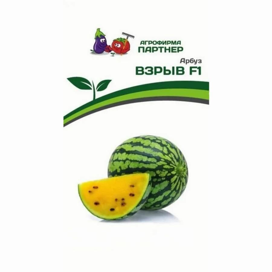 Арбуз Взрыв 5 семян (Партнер)