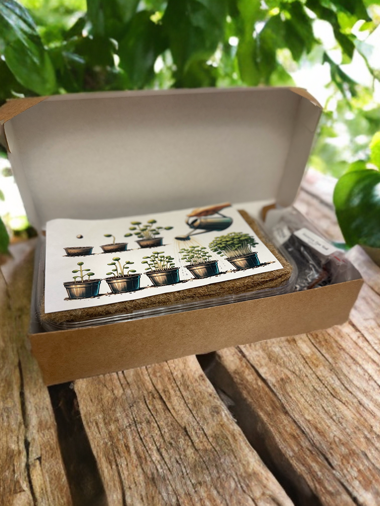 Набор для выращивания Микрозелени 7 в 1 (Горох/Кинза/Пак Чой/Шпинат/Редис/Подсолнечник/Кресс-салат