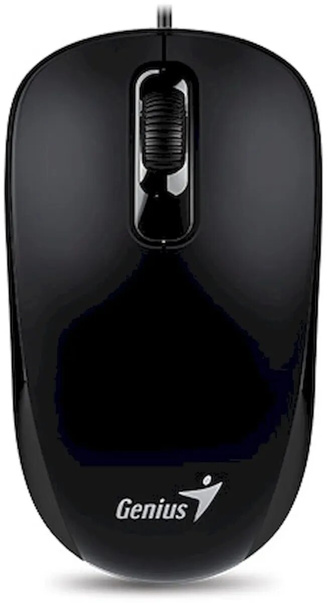 Мышь Genius DX-110 black USB (31010009400) - фото №1