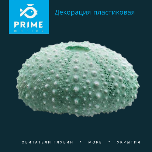 Декорация пластиковая Prime Морской ёж 4х3.5х2см