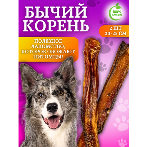 Бычий корень 20-25см для собак Hunter Fox, сушеное лакомство 2 штуки