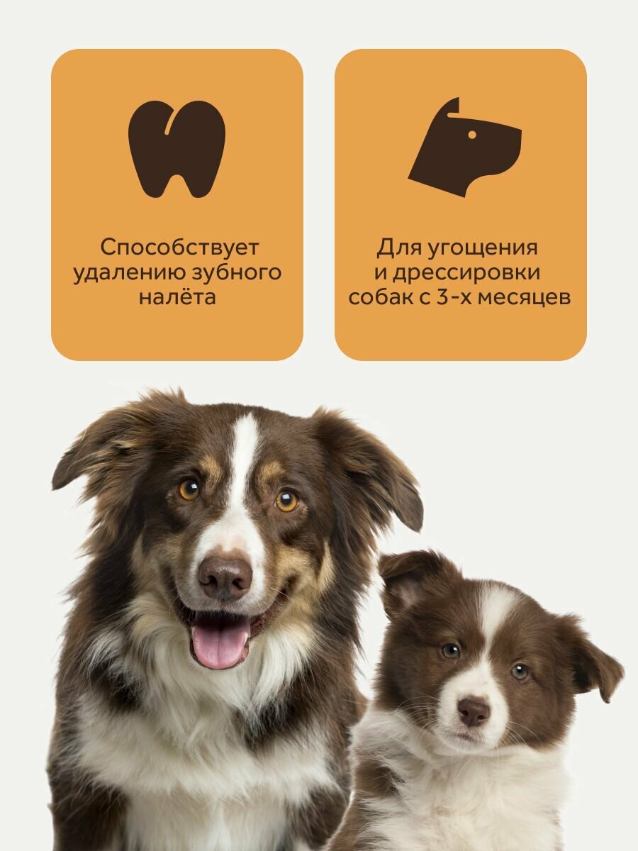 Petsmack Лакомство для собак, почки говяжьи, 60г — фото 1