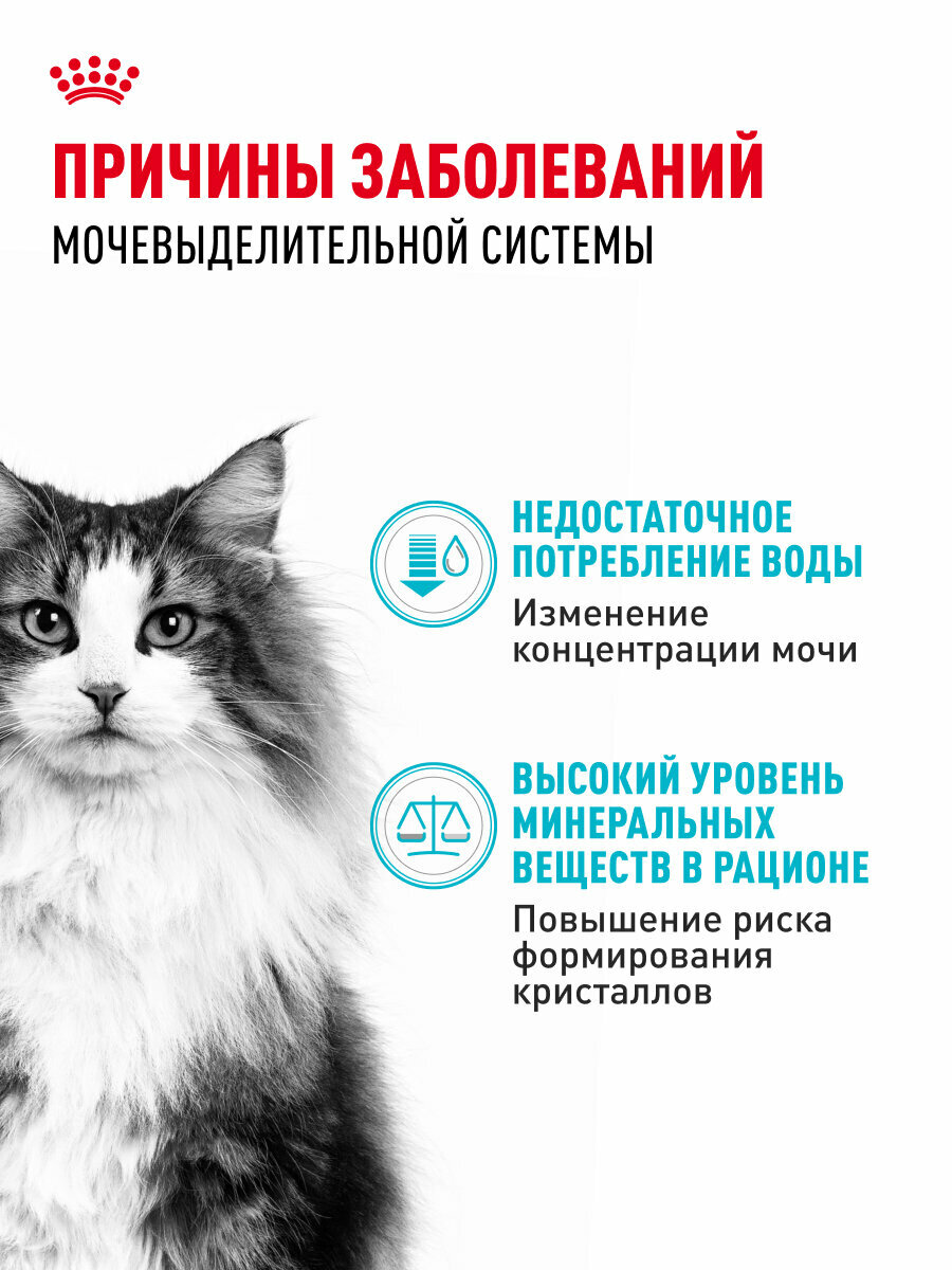 Изображение Сухой корм для кошек Royal Canin Urinary Care для поддержания здоровья мочевыводительной системы, 4 кг