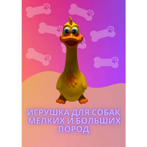 Игрушка для собак