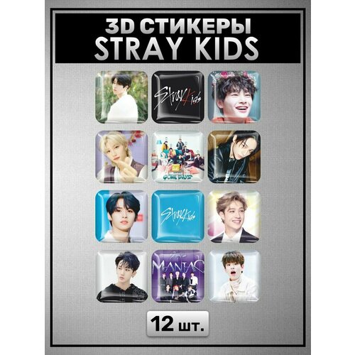 3D наклейки на телефон, Набор объемных наклеек на телефон , Stray Kids Стрей кидс 12 шт