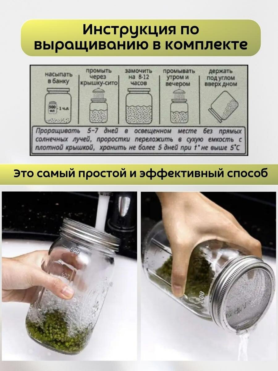Изображение Набор для проращивания семян микрозелени в банке с крышкой-ситом