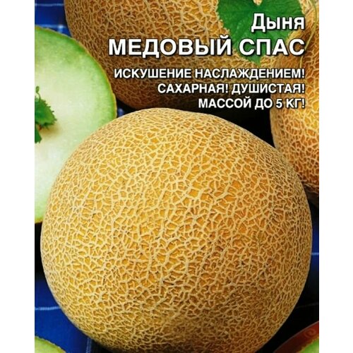 Коллекционные семена дыни Медовый Спас