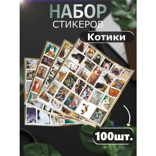 наклейки стикеры котики на корпоративе 1 шт Наклейки на телефон стикеры Котики