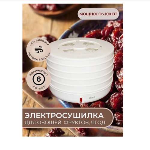 Электросушилка для фруктов и овощей Электросушилка EFD-320-06 ЭлБЭТ 5 поддоновлоток для пастилы 181000₽