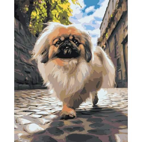 Картина по номерам Собака Пекинес гуляет по городу 2 40x50 картина по номерам собака пекинес на фоне яркого неба 40x50