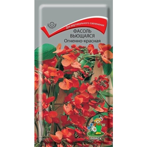 Семена Фасоль вьющаяся (декоративная) Огненно-красная. Комплект из 3 пакетиков