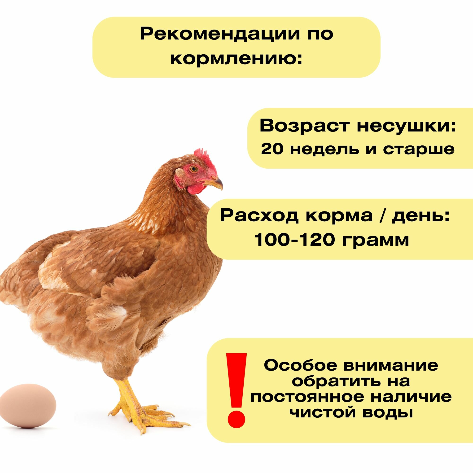 Комбикорм для кур несушек 5 кг. Максимальная яйценоскость с первого дня питания. Полнорационный корм создан с заботой о здоровье птицы