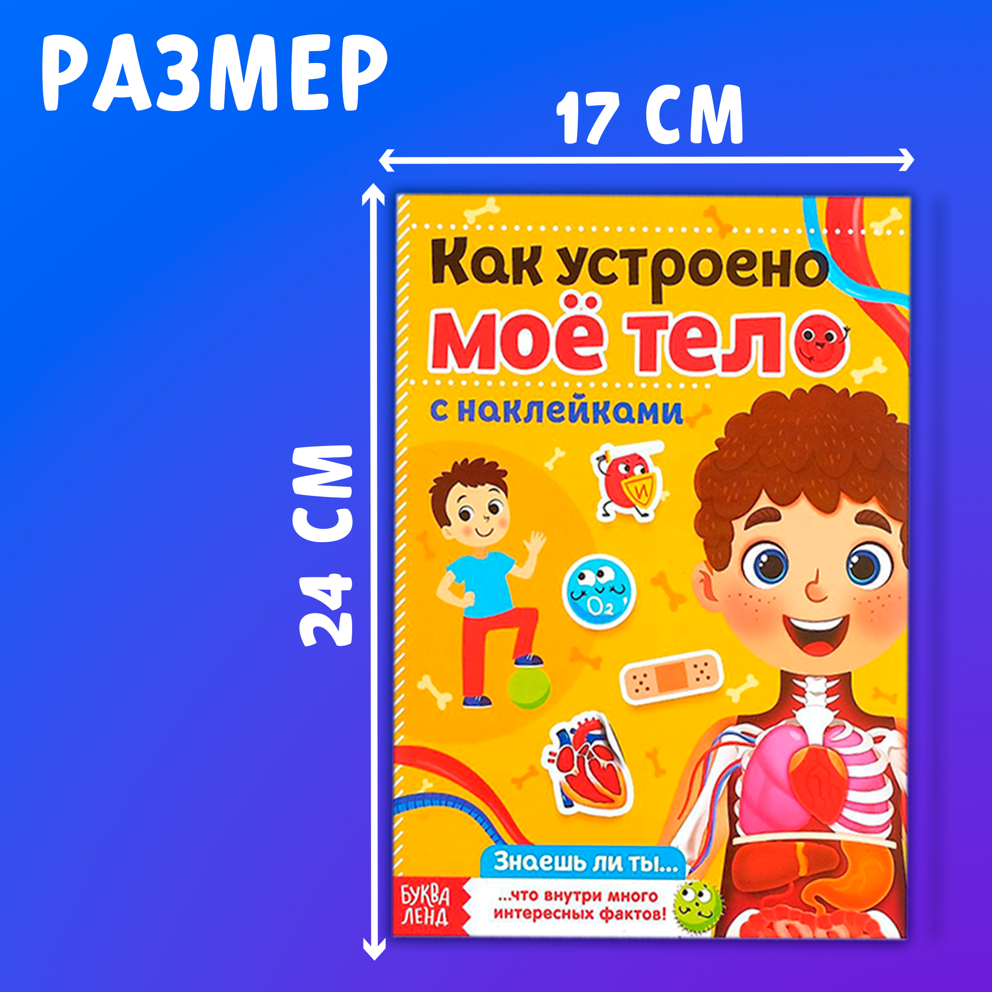 Наклейки "Тело человека", буква-ленд, набор 2 штуки по 16 страниц, развивающие, для детей и малышей от 3 лет