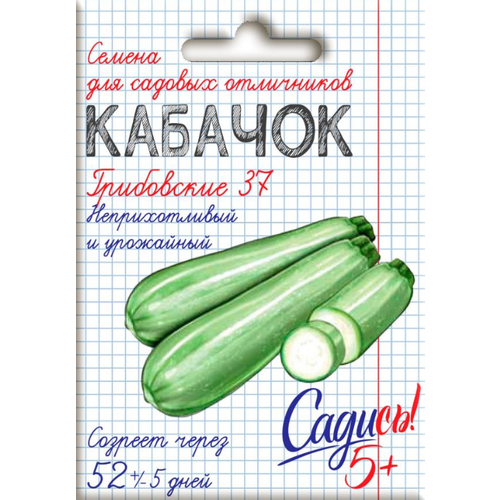 Кабачок Грибовский 37, 2г, Садись 5