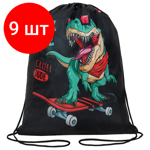 Комплект 9 шт, Мешок для обуви пифагор, 1 отделение, 42х34 см, T-Rex, 271606