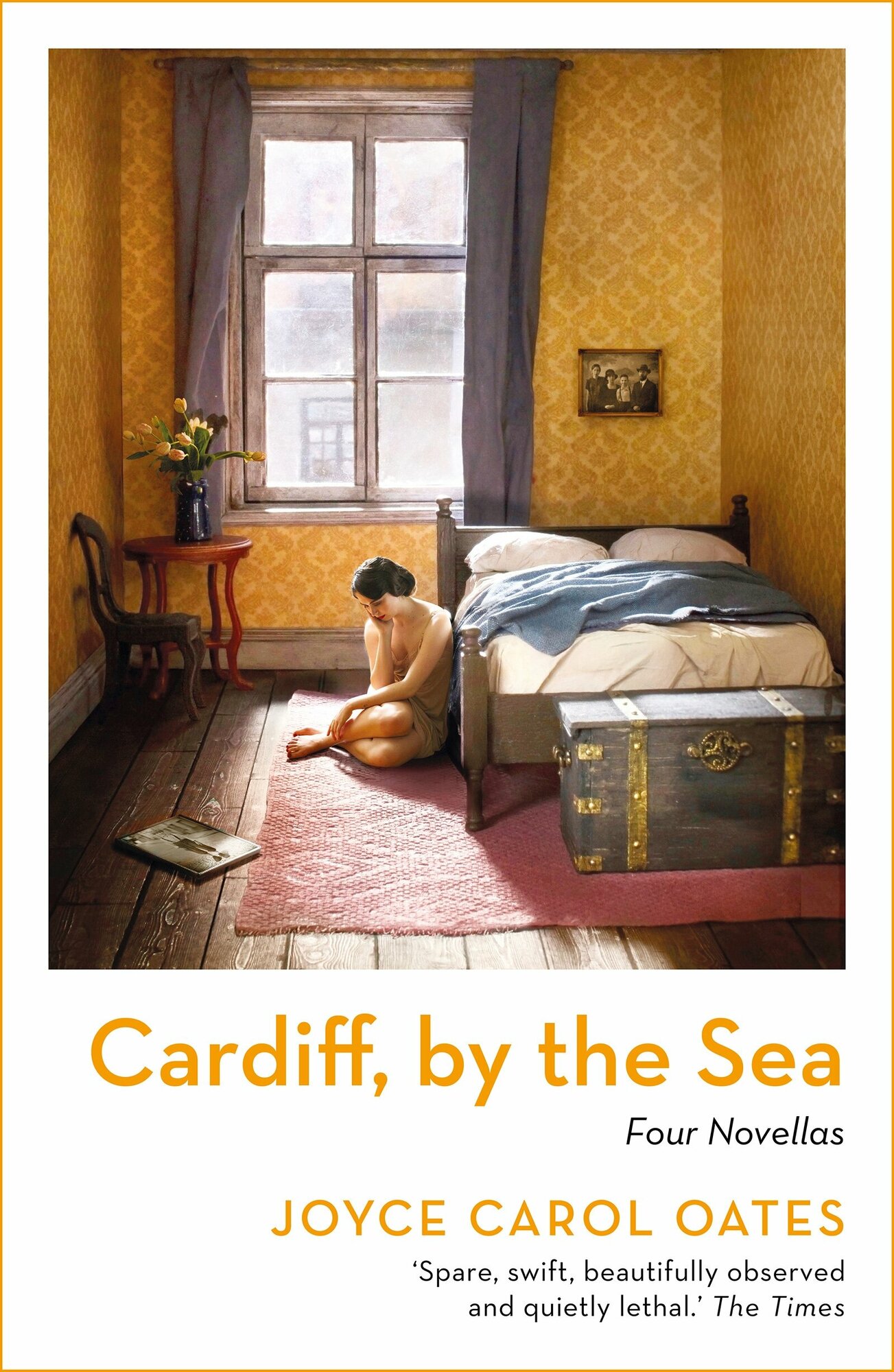 Cardiff, by the Sea (Oates Joyce Carol) - фото №1