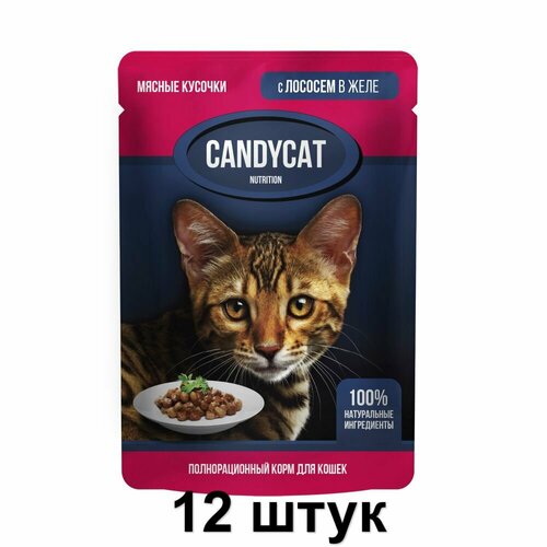 CandyCat Пауч для кошек, кусочки с Лососем в желе, 85 г, 12 шт