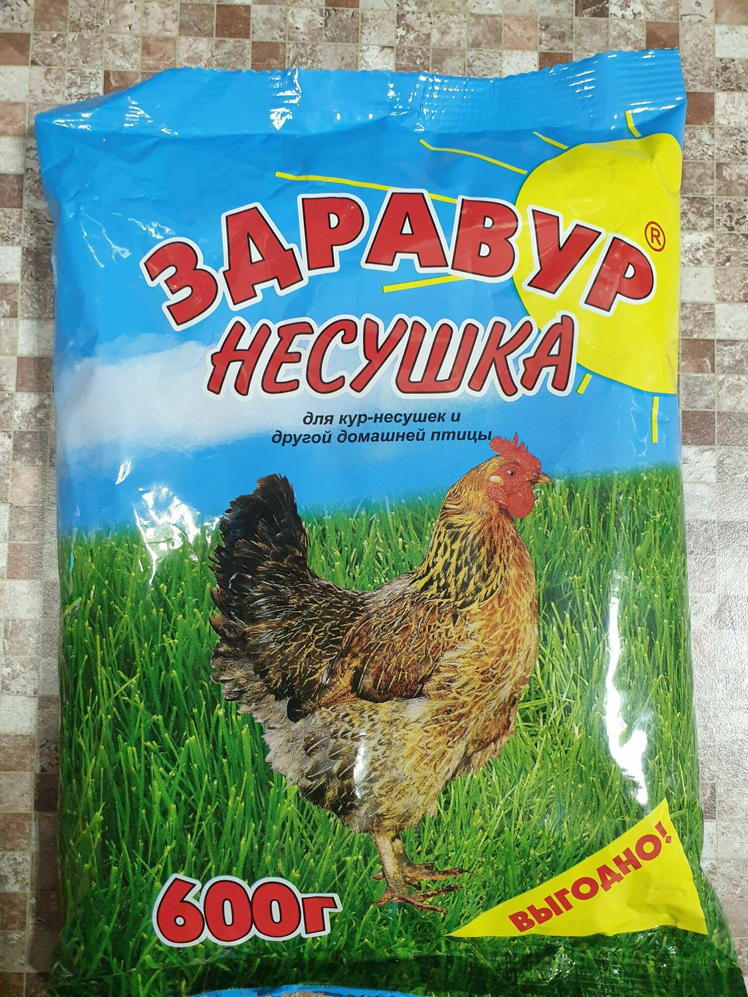 Здравур Несушка