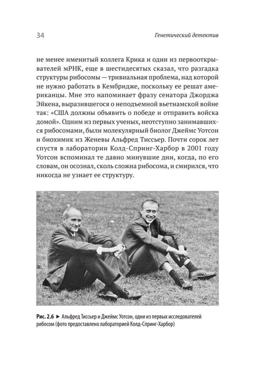 Генетический детектив. От исследования рибосомы к Нобелевской премии - фото №17