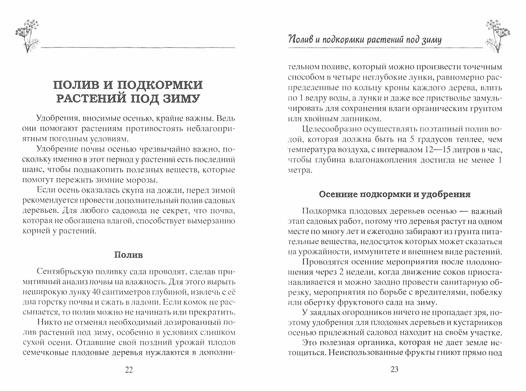Осенние работы в саду и огороде Защита от болезней посадки удобрения уборка обрезка подготовка - фото №5