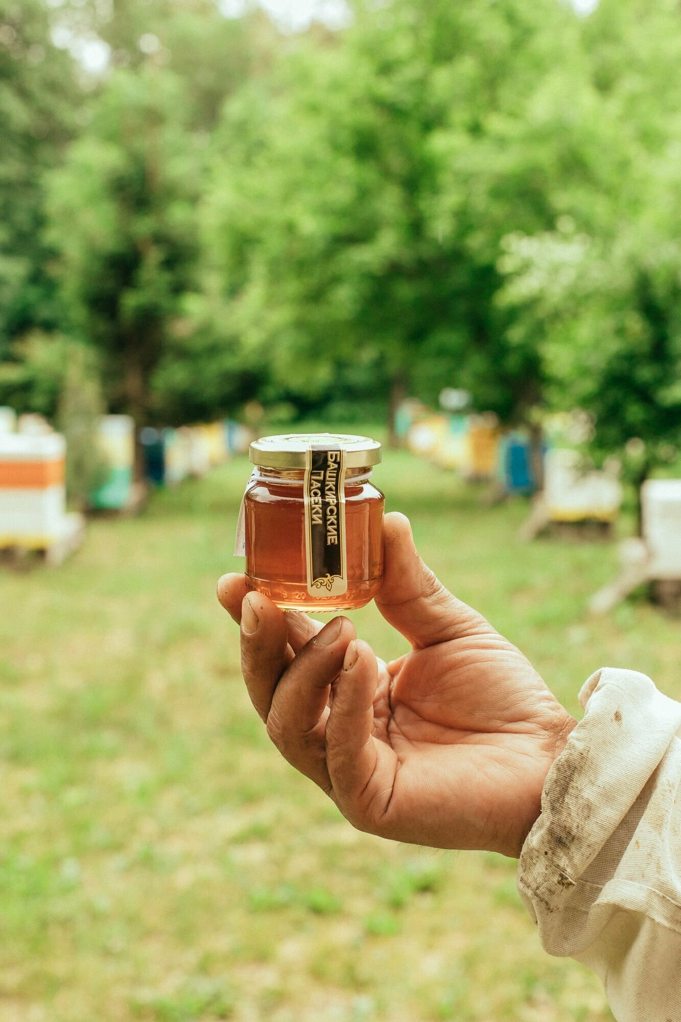 Набор башкирского мёда: липовый, гречишный, цветочный 450 г - фотография № 2