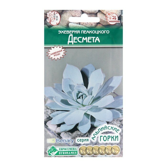 Семена эхеверия пеакоцкого «Десмета» 5 шт.