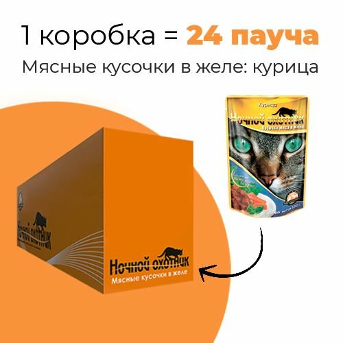 Упаковка 24 пауча для кошек ночной охотник Курица в желе