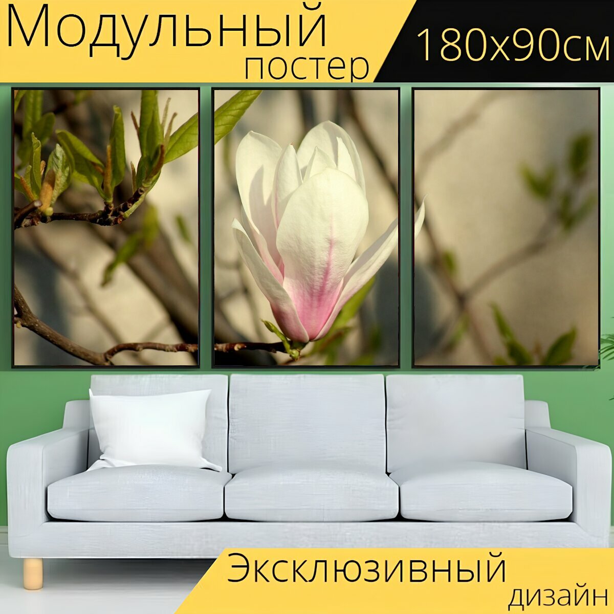 Модульный постер "Магнолия, цветок магнолии, весна" 180 x 90 см. для интерьера