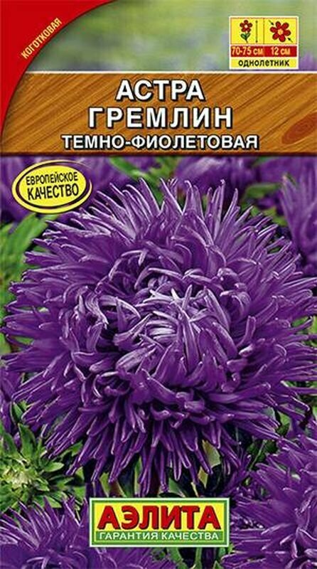 Семена Астра Гремлин темно-фиолетовая (однолетние) (Аэлита) 02г