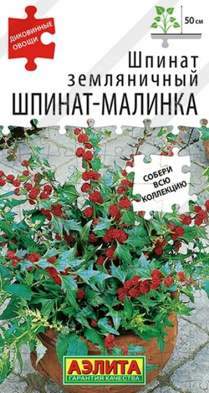 Семена Шпинат Шпинат-малинка земляничный (Аэлита) 0,05г Диковинные овощи