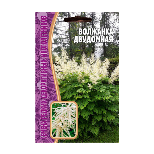 Волжанка двудомная 50 шт редкие семена (2шт в заказе)