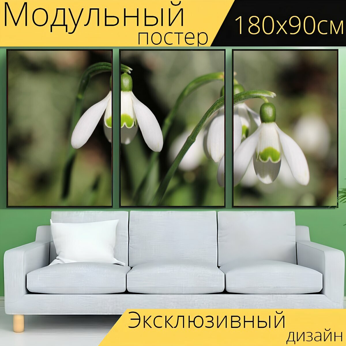 Модульный постер "Три, подснежник, весна" 180 x 90 см. для интерьера