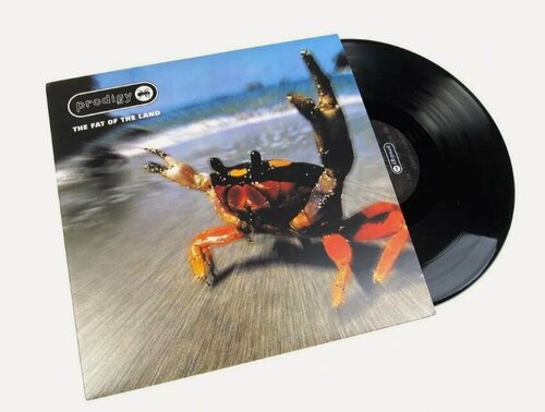 Изображение товара Виниловая пластинка The Prodigy - The Fat Of The Land 2-LP